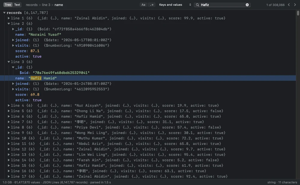 JSON Viewer holding a 1 GB JSON Lines file of six million records, with a search for a name and its first match selected
